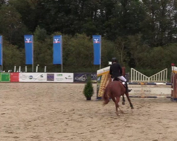 Reitturnier Everswinkel 2021