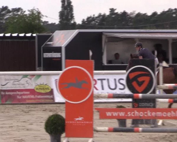 Reitturnier Niedernstöcken 2020