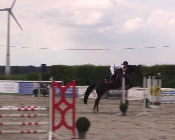Reitturnier Niedernstöcken 2020