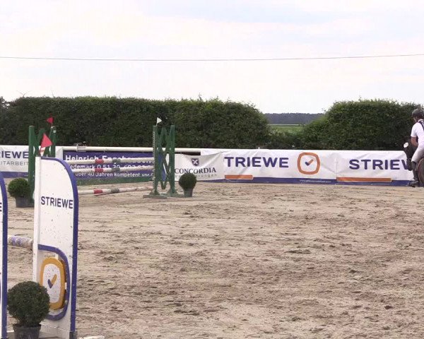 Reitturnier Niedernstöcken 2020