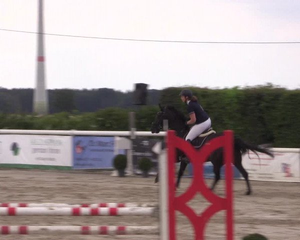 Reitturnier Niedernstöcken 2020