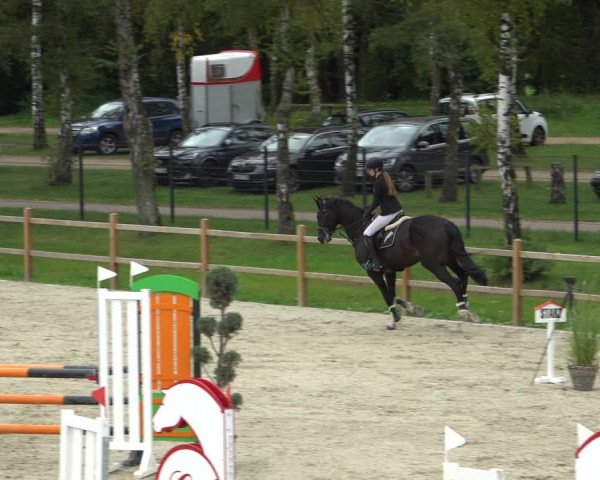 Reitturnier Westergellersen 2021
