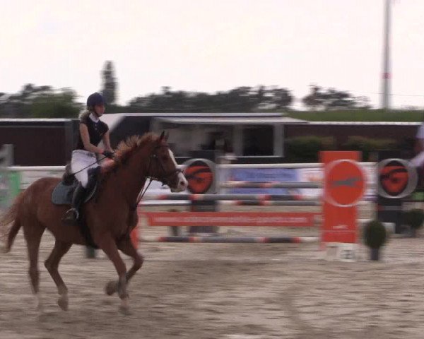 Reitturnier Niedernstöcken 2020