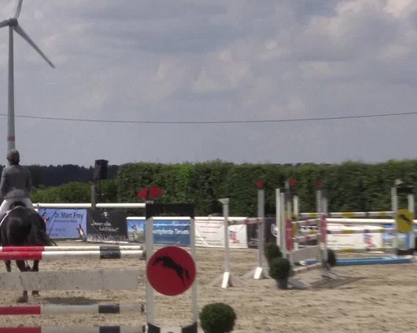 Reitturnier Niedernstöcken 2020