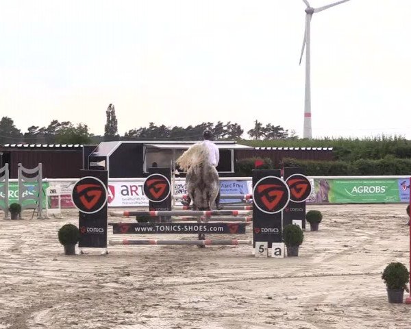 Reitturnier Niedernstöcken 2020
