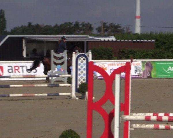Reitturnier Niedernstöcken 2020