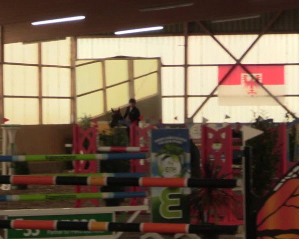 Große Jumping-Trophy Pausin 2021