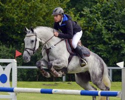 jumper Silvermoon 36 (Oldenburg, 2008, from Stedinger)