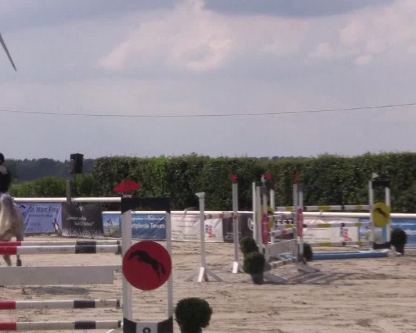Reitturnier Niedernstöcken 2020