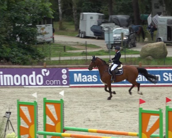 Reitturnier Westergellersen 2021
