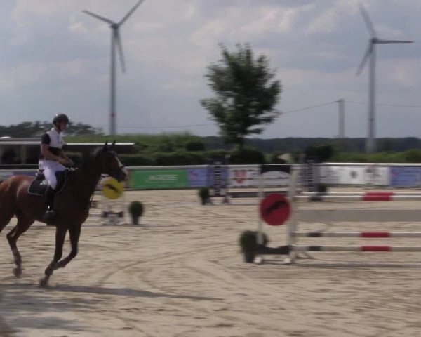 Reitturnier Niedernstöcken 2020