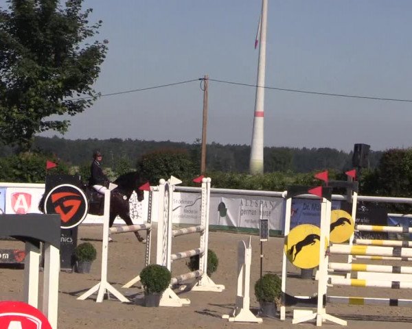Reitturnier Niedernstöcken 2020
