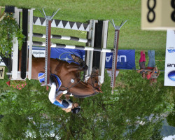 jumper Wesperiena Winde (KWPN (Royal Dutch Sporthorse), 2003, from Lupicor)