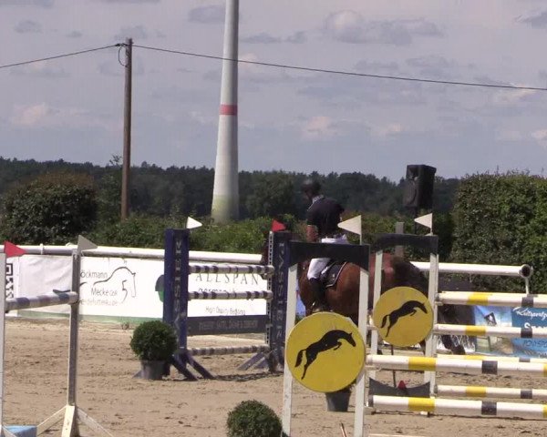 Reitturnier Niedernstöcken 2020