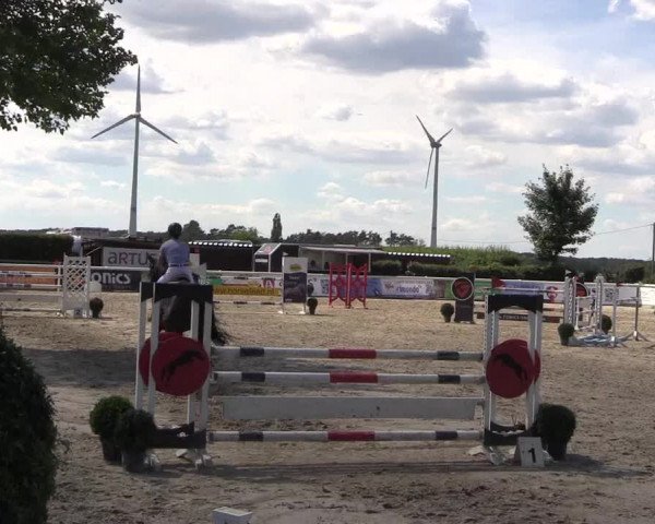 Reitturnier Niedernstöcken 2020