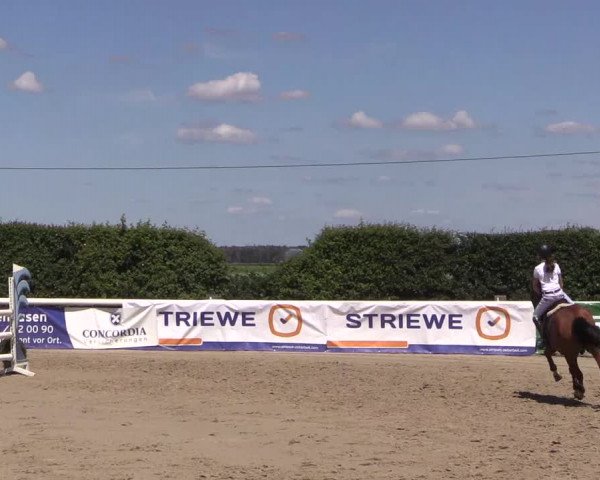 Reitturnier Niedernstöcken 2020