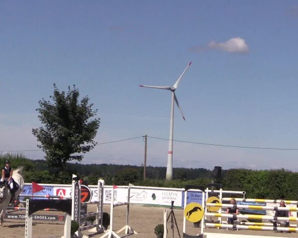 Reitturnier Niedernstöcken 2020