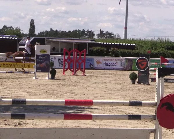 Reitturnier Niedernstöcken 2020
