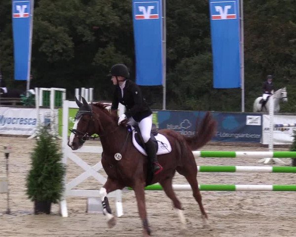 Reitturnier Everswinkel 2021