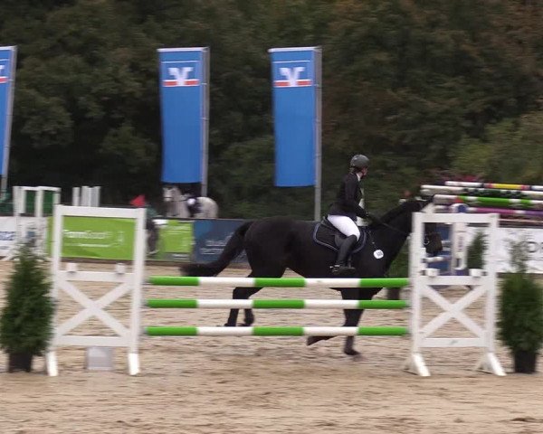 Reitturnier Everswinkel 2021
