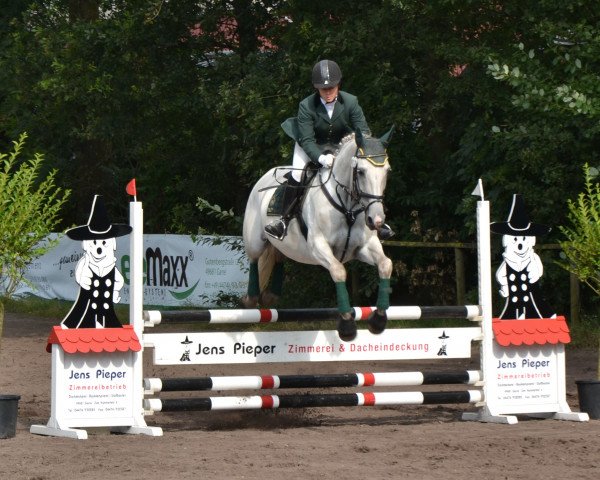 jumper Amina 60 (Hanoverian, 2000, from Wiener Skat)