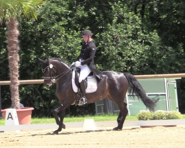 Reitturnier Halver 2020