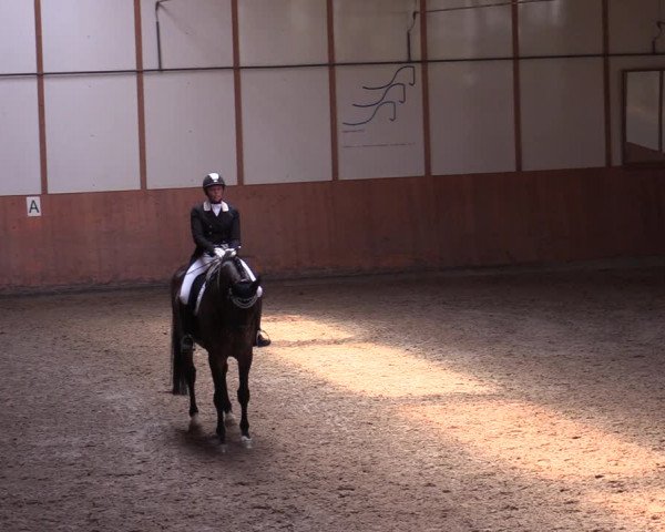 Reitturnier Halver 2020