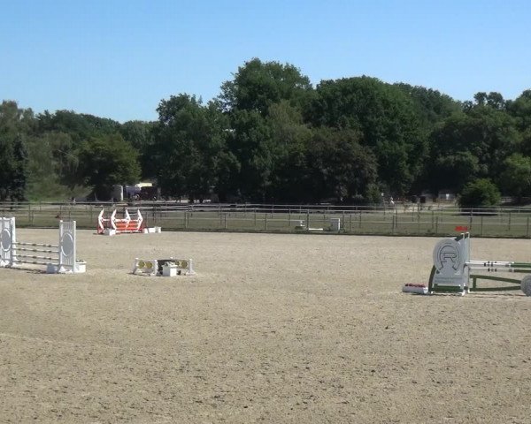 Reitturnier Langenfeld - Gut Langfort 2020