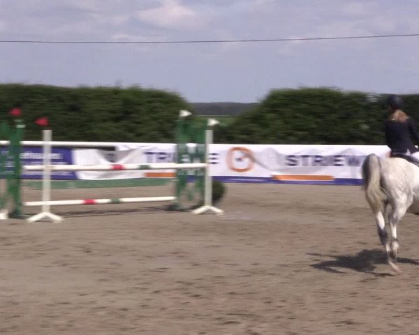 Reitturnier Niedernstöcken 2020