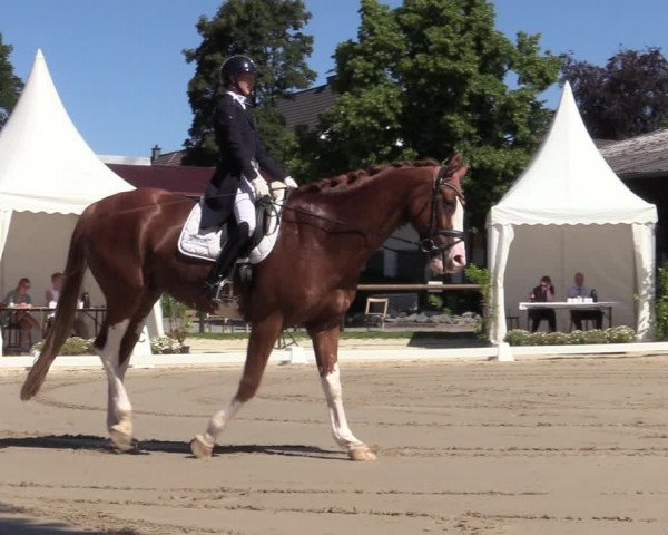 Reitturnier Halver 2020