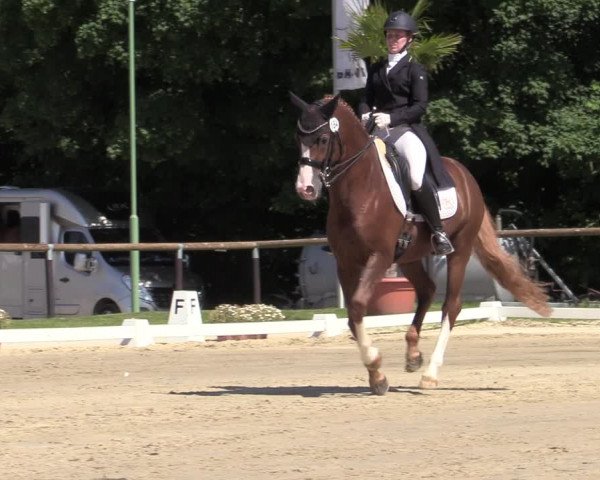 Reitturnier Halver 2020