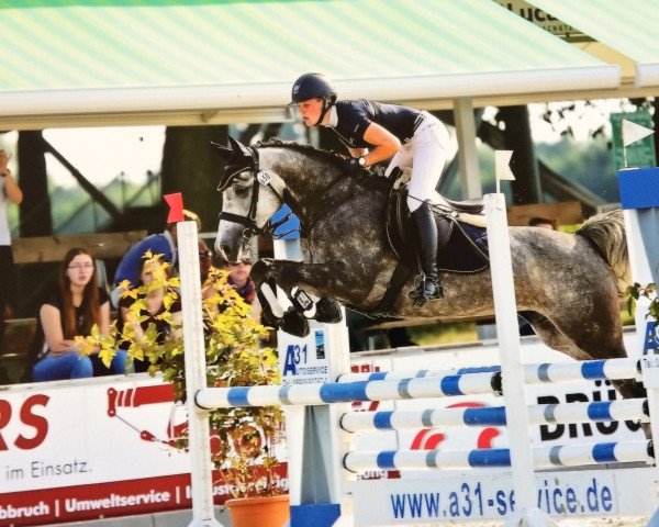 dressage horse Fefferminza SE (German Riding Pony, 2009, from Proud Rocketti)
