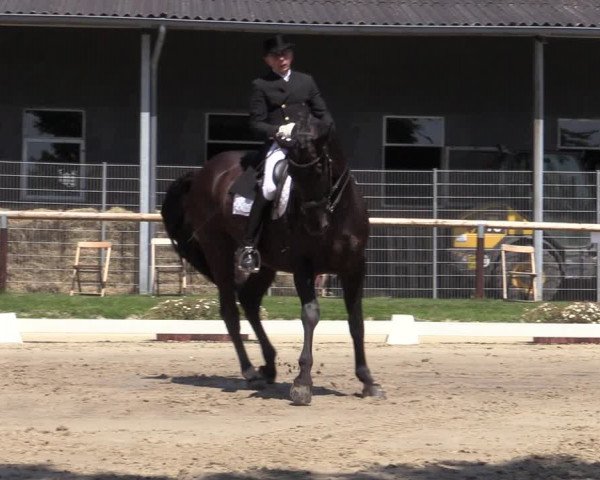 Reitturnier Halver 2020