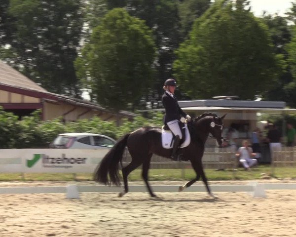 Reitturnier Schülp / Rendsburg 2020