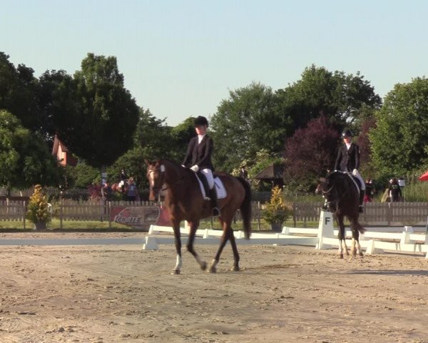 Reitturnier Schülp / Rendsburg 2020