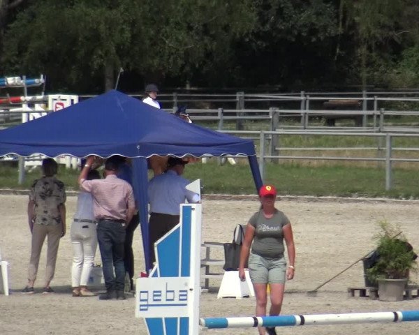 Reitturnier Langenfeld - Gut Langfort 2020