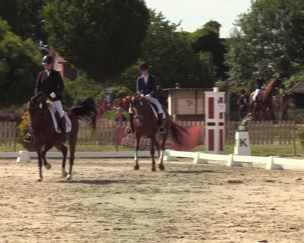 Reitturnier Schülp / Rendsburg 2020