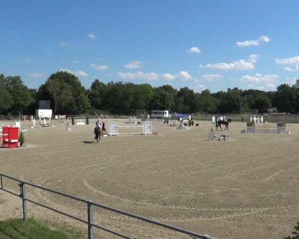 Reitturnier Langenfeld - Gut Langfort 2020