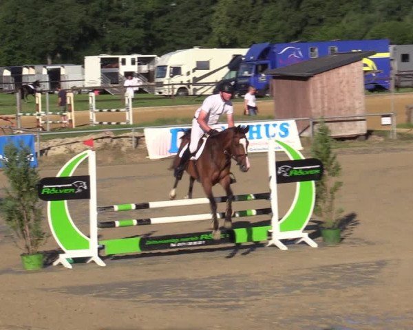 Reitturnier Coesfeld/Lette 2020