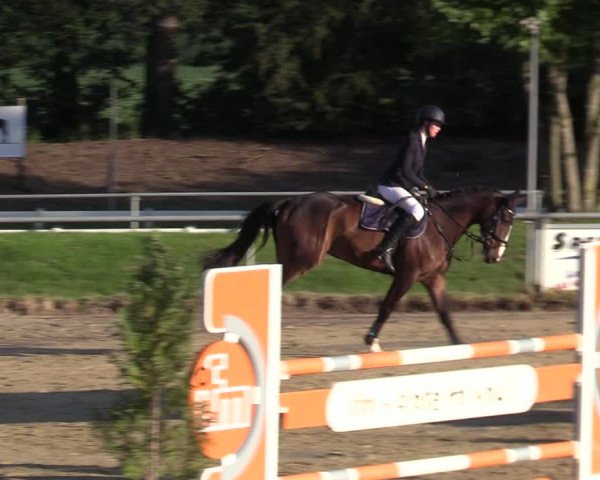 Reitturnier Coesfeld/Lette 2020
