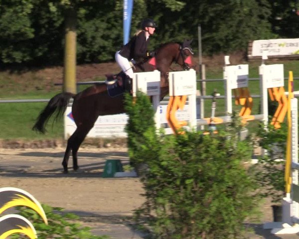 Reitturnier Coesfeld/Lette 2020