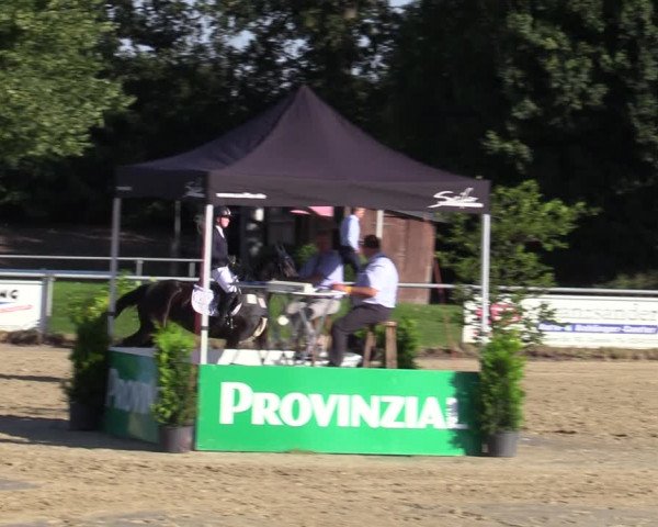 Reitturnier Coesfeld/Lette 2020