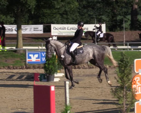 Reitturnier Coesfeld/Lette 2020