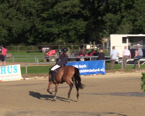 Reitturnier Coesfeld/Lette 2020