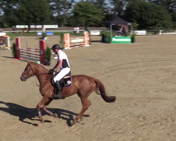 Reitturnier Coesfeld/Lette 2020