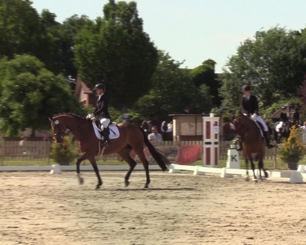 Reitturnier Schülp / Rendsburg 2020