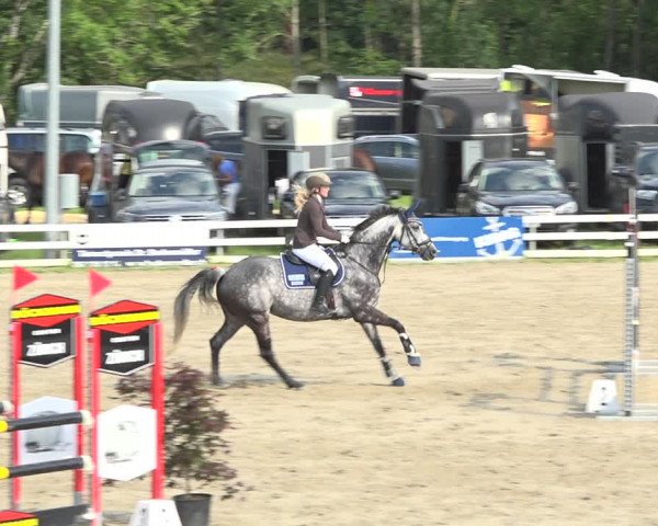 Reitturnier Aesch (Neftenbach) 2020