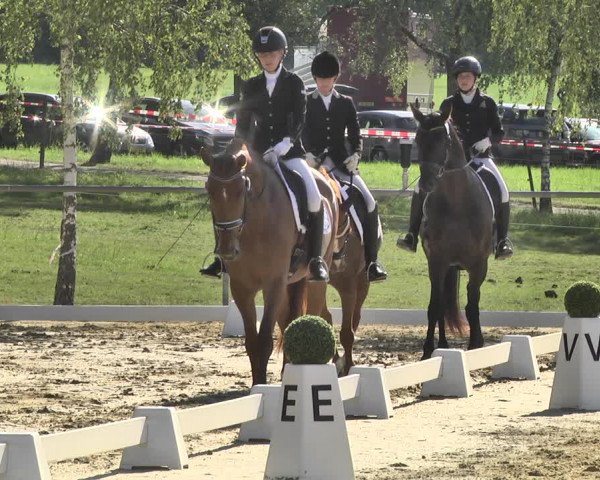 Reitturnier Reitanlage Birkenhof, Perl-Sinz 2020