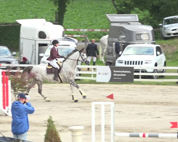 Reitturnier Aesch (Neftenbach) 2020