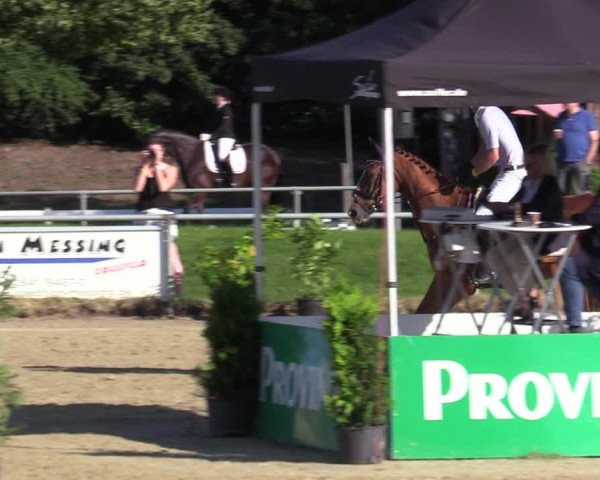Reitturnier Coesfeld/Lette 2020